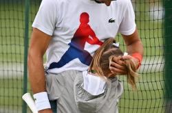 开云官网-关于温网完胜戴维斯杯，德约科维奇扛起全队的信息