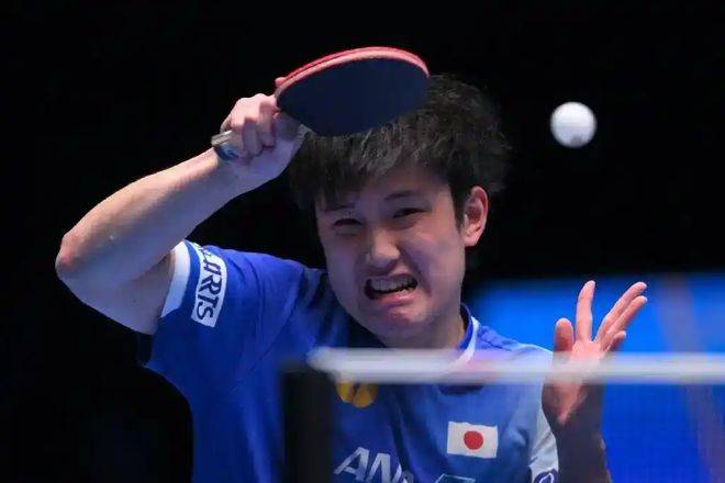 中国乒乓球队逆转比利时乒乓球队,张本智和关键制胜的简单介绍 中国乒乓球队逆转比利时乒乓球队,张本智和关键制胜的简单介绍