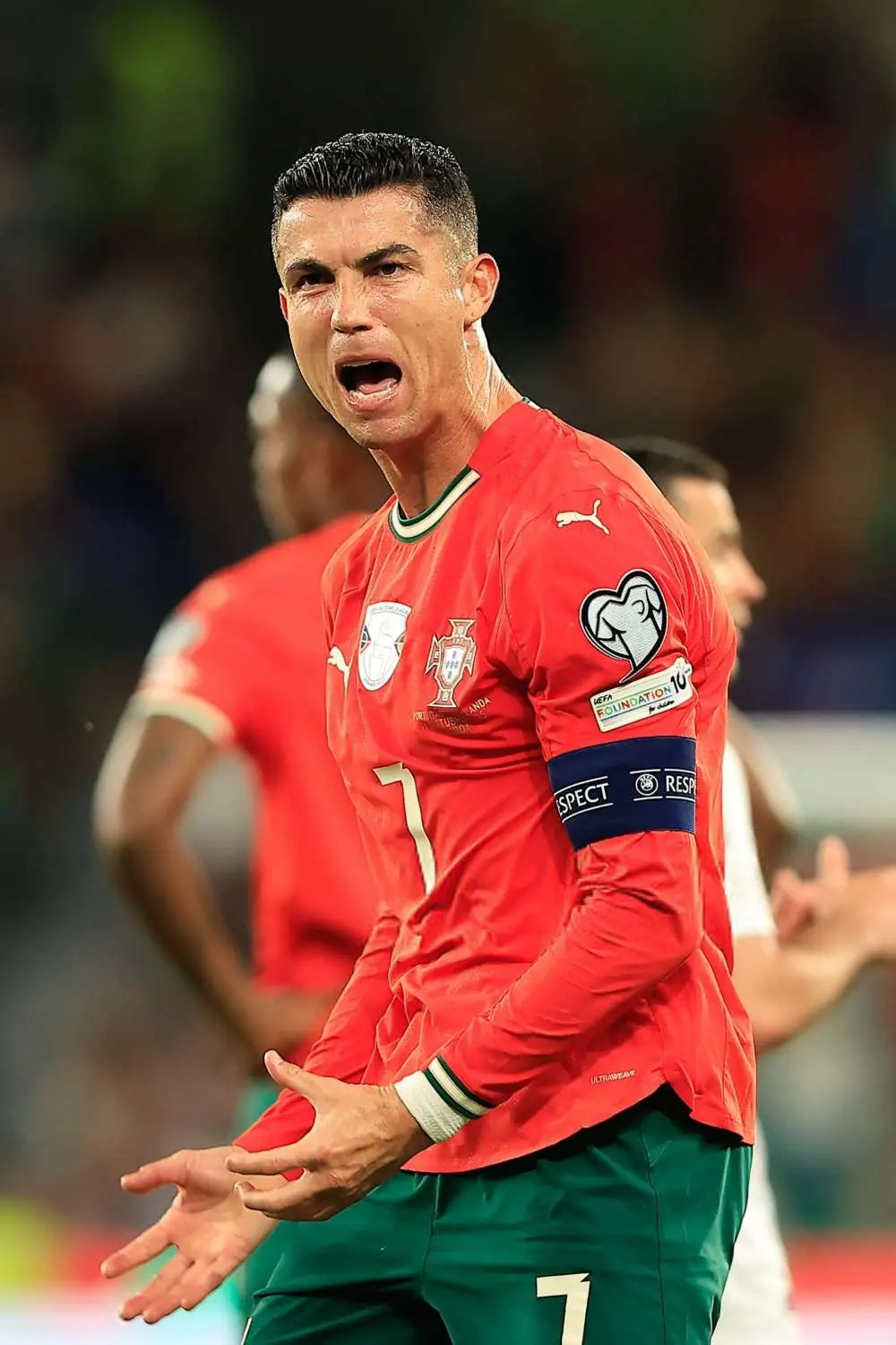 包含塞内加尔翻盘荷兰,C罗制霸全场的词条 包含塞内加尔翻盘荷兰,C罗制霸全场的词条